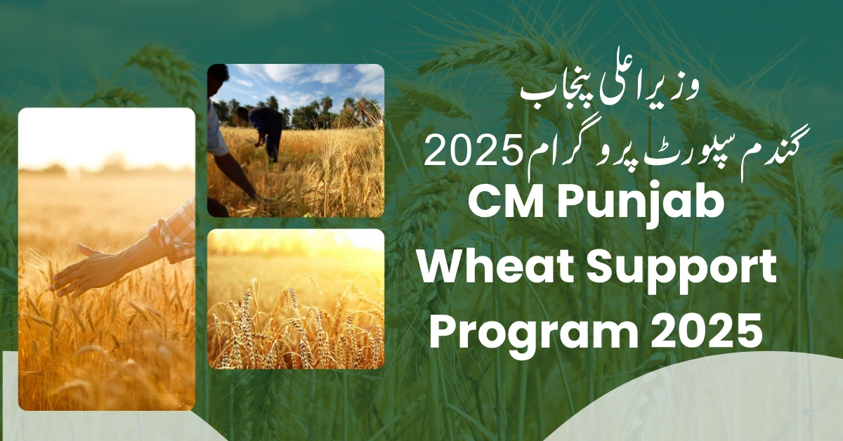 CM Punjab Wheat Support Program 2025